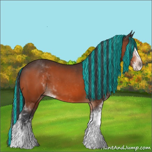 Horse Color:Painted Bay Sabino