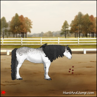 Horse Color:White Spotted Grullo