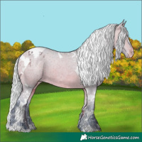 Horse Color:Watercolor Silver Bay Tobiano Appaloosa 