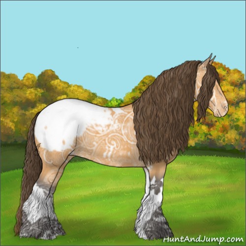 Horse Color:Buckskin Ice Tobiano Snowcap Rabicano