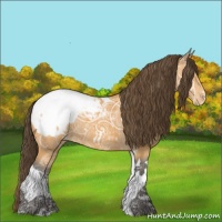 Horse Color:Buckskin Ice Tobiano Snowcap Rabicano 