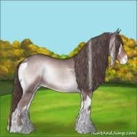 Horse Color:Platinum Red Onyx Tobiano Varnish Rabicano 