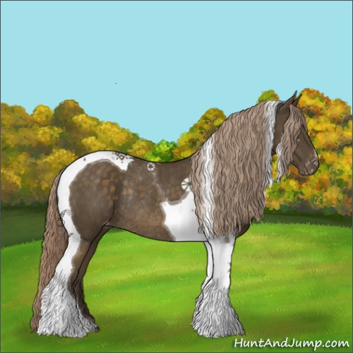 Horse Color:Chocolate Palomino Tobiano Varnish Rabicano