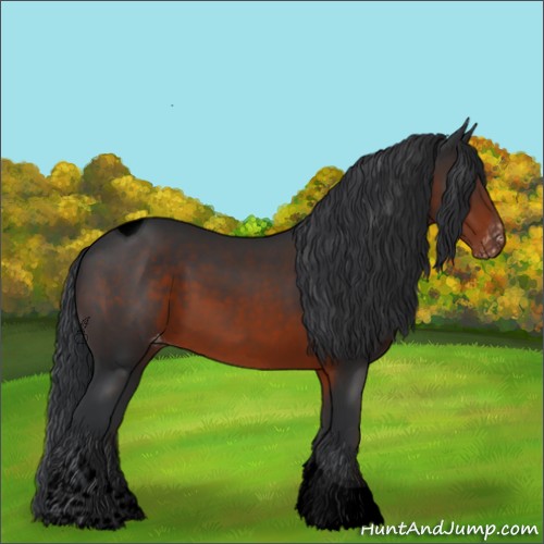 Horse Color:Void Brown Tobiano Appaloosa 