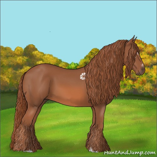 Horse Color:Chestnut Sabino Rabicano 