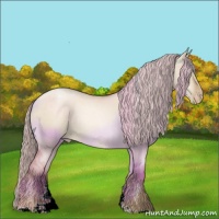 Horse Color:Chocolate Palomino Pearl Dun Tobiano Appaloosa Rabicano 
