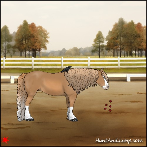 Horse Color:Chestnut Splash