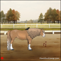 Horse Color:Chestnut Splash 
