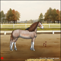 Horse Color:Red Roan Splash 