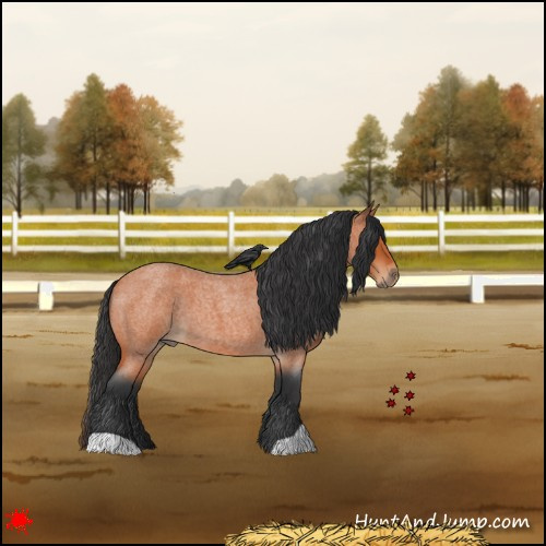 Horse Color:Bay Roan 