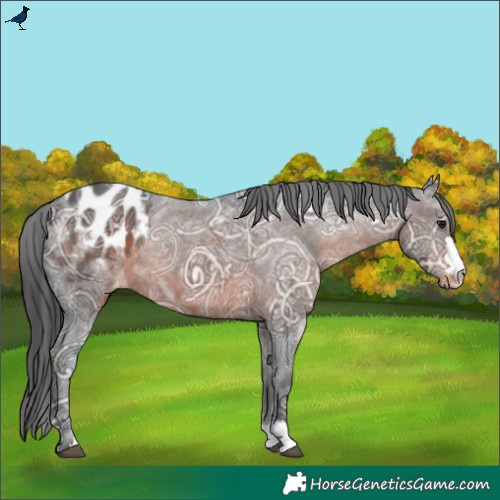 Horse Color:Brown Ice Varnish