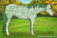 Horse Color:Watercolor Black Ice Appaloosa 