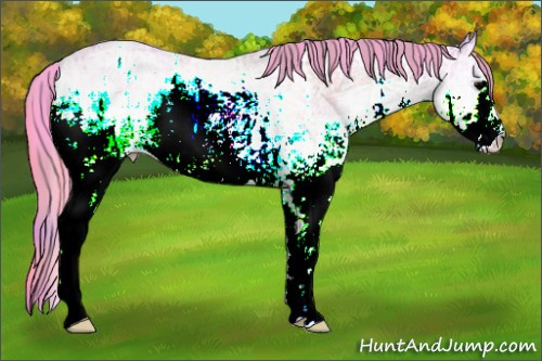 Horse Color:Watercolor Plaid  White Spotted Blue Onyx Ice Rabicano 