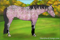 Horse Color:Plaid Bay Ice Rabicano