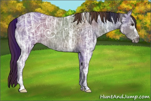Horse Color:Liver Chestnut Ice 