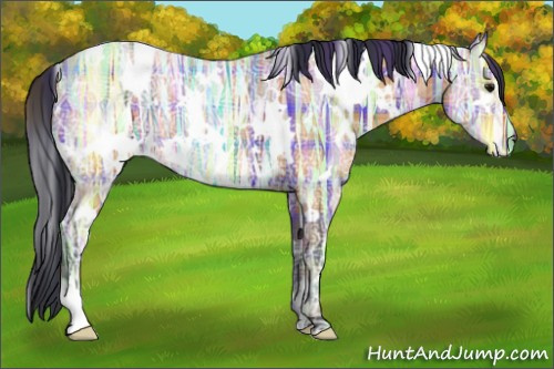 Horse Color:Plaid White Spotted Bay Ice