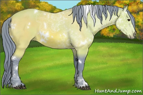 Horse Color:Watercolor White Spotted Bay Sabino