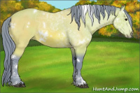 Horse Color:Watercolor White Spotted Bay Sabino 