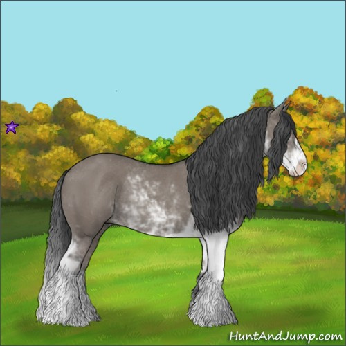 Horse Color:Grullo Sabino Rabicano