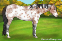 Horse Color:White Spotted Bay Ice Frame