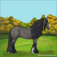Horse Color:Grullo Sabino Rabicano 