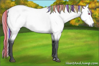 Horse Color:Painted Silver Bay Chinchilla 