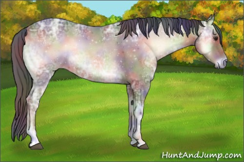 Horse Color:Nacre Liver Red Onyx Ice Roan 