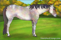 Horse Color:Nacre Liver Red Onyx Ice Roan 