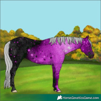 Horse Color:ERROR: UNKNOWN ANOMALY