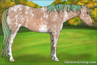Horse Color:Painted White Spotted Chestnut Ice