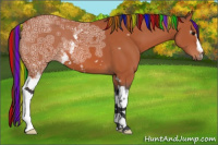 Horse Color:Painted White Spotted Bay Ice