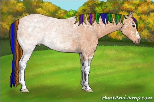 Horse Color:Painted White Spotted Bay Ice 