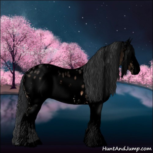 Horse Color:Void White Spotted Brown Sabino Appaloosa 