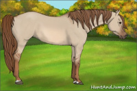 Horse Color:Red Dun 