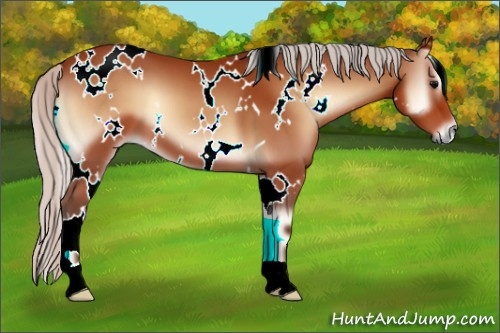 Horse Color:White Spotted Silver Bay Onyx