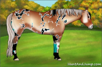 Horse Color:White Spotted Silver Bay Onyx