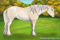Horse Color:White Spotted Palomino Pearl 
