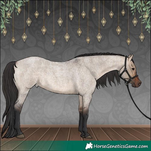 Horse Color:Bay Roan Dun Rabicano 