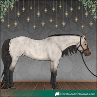 Horse Color:Bay Roan Dun Rabicano