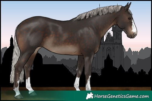 Horse Color:Silver Brown 