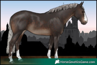 Horse Color:Silver Brown 