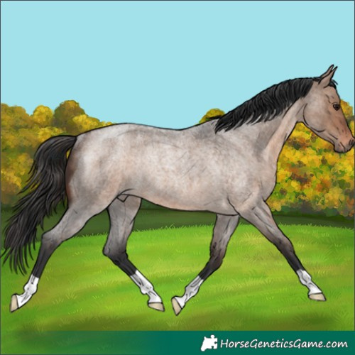 Horse Color:Brown Roan Dun Rabicano 
