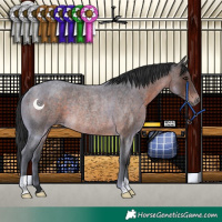 Horse Color:Brown Roan Rabicano 