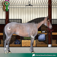 Horse Color:Brown Roan