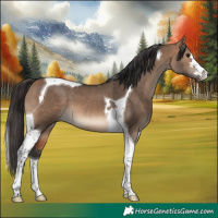 Horse Color:Bay Dun Tobiano 