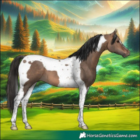 Horse Color:Bay Dun Tobiano 