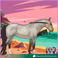 Horse Color:Buckskin Roan Dun