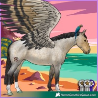 Horse Color:Buckskin Roan Dun 