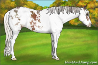Horse Color:Silver Black Sabino