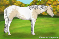 Horse Color:Silver Smoky Grullo Tobiano